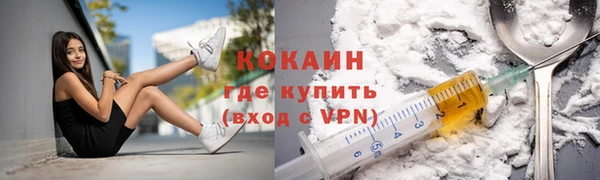 индика Волоколамск