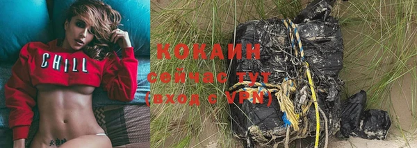 индика Волоколамск