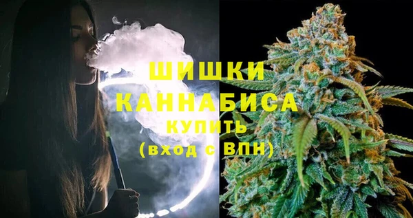 индика Волоколамск