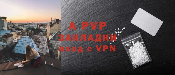 индика Волоколамск