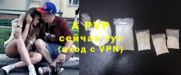 индика Волоколамск