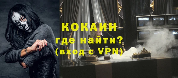 индика Волоколамск