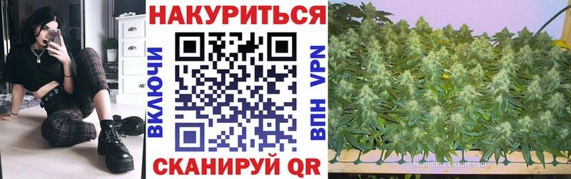 Марихуана сатива  Липки 